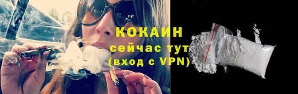 прущие крисы Киренск