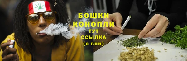 прущие крисы Киренск