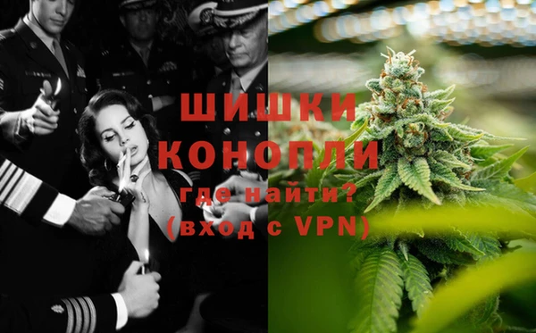 прущие крисы Киренск
