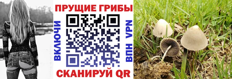 Купить закладки  Воркута  Галлюциногенные грибы ЛСД 